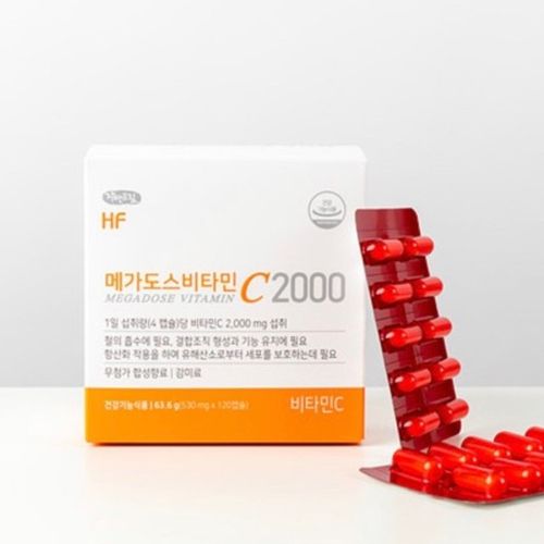 이 글의 목차