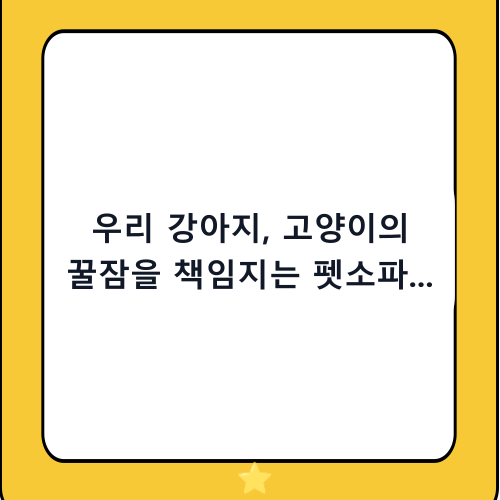 우리 강아지, 고양이의 꿀잠을 책임지는 펫소파 추천 및 현명한 선택 가이드